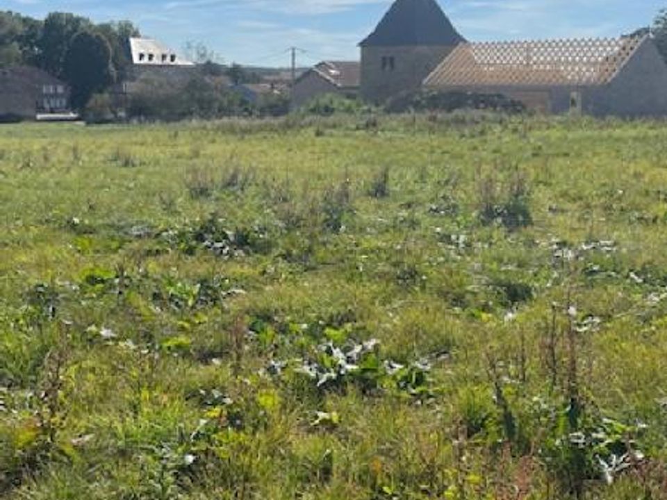 Land in Jallaucourt, Moselle - photo 3
