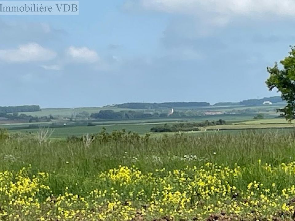 Helårsgrund i Haraucourt, Meurthe-et-Moselle - foto 5
