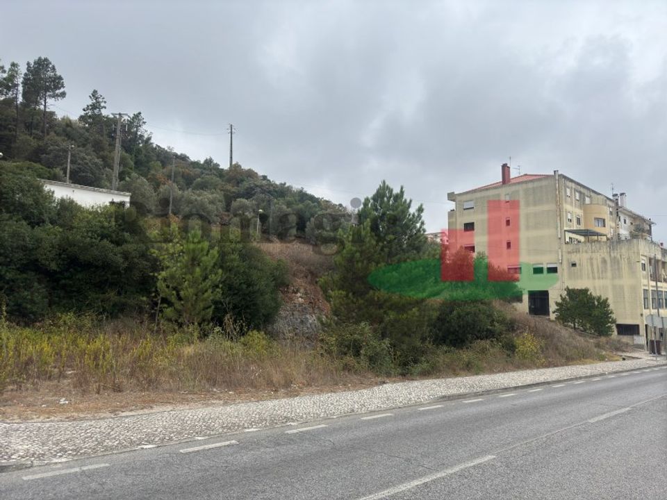 Terra em Minde, Santarem - foto 2