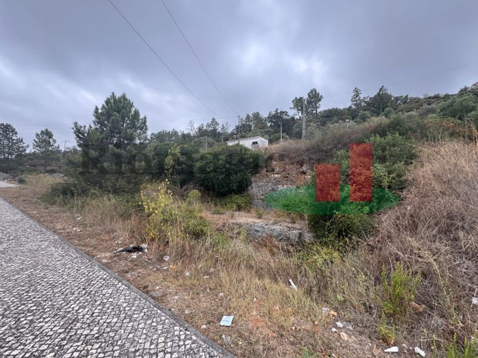 Terra em Minde, Santarem - foto 3