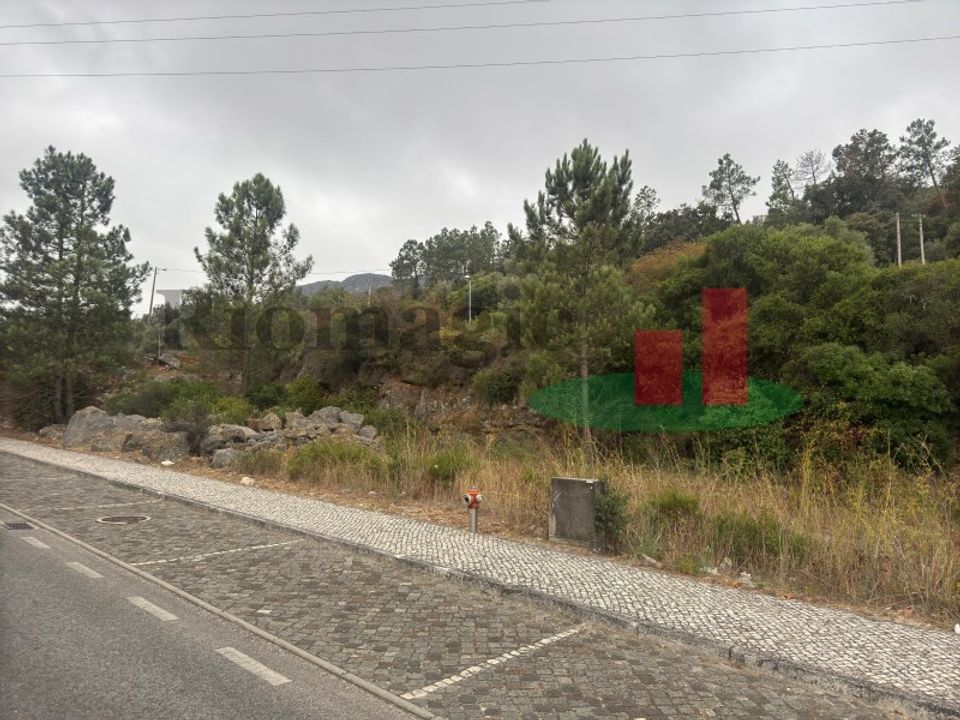 Terra em Minde, Santarem - foto 4