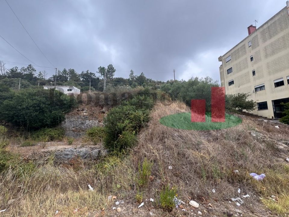 Terra em Minde, Santarem - foto 5