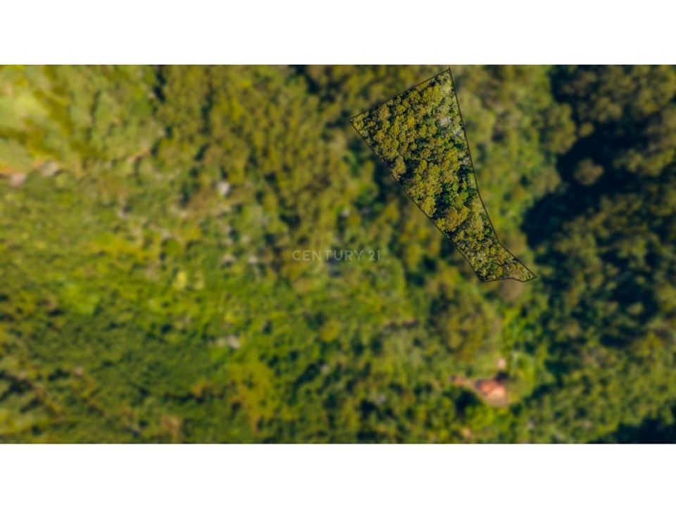 Helårsgrund i Santa Cruz, Madeira - foto 4