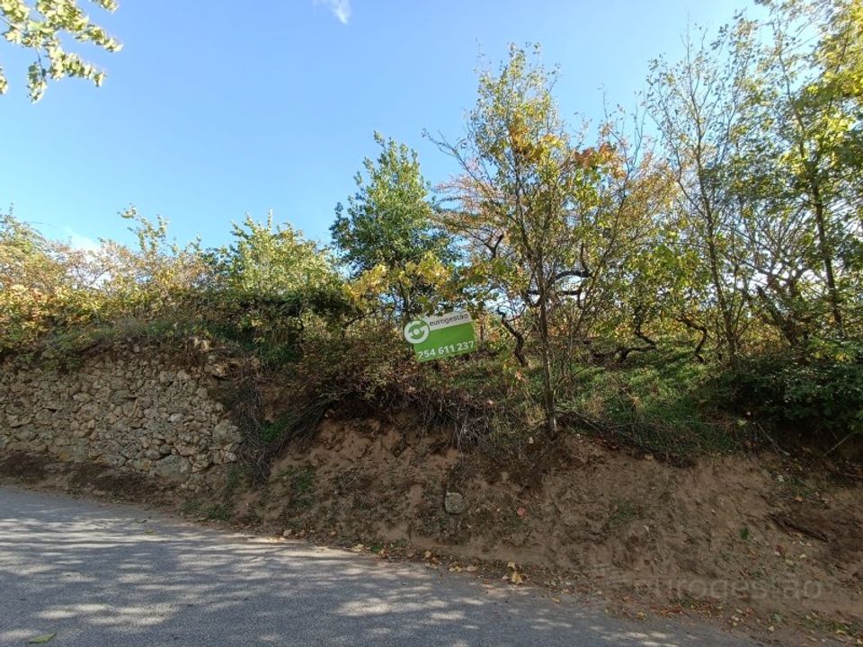 Landejendom i Tarouca, Viseu - foto 1