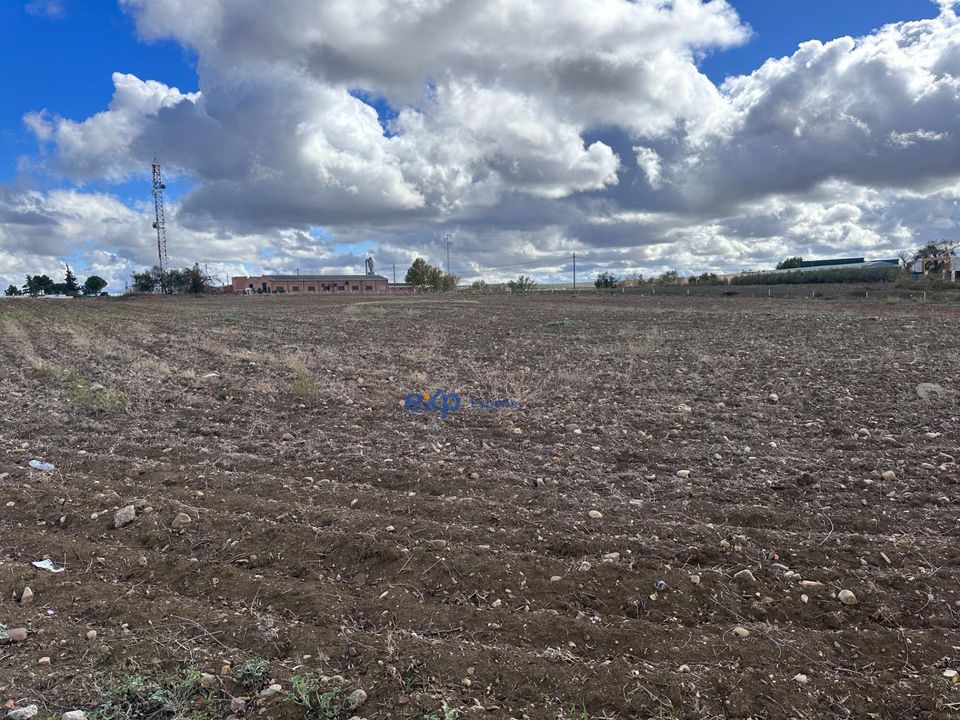 Tomt i Ecija, Sevilla - bilde 4