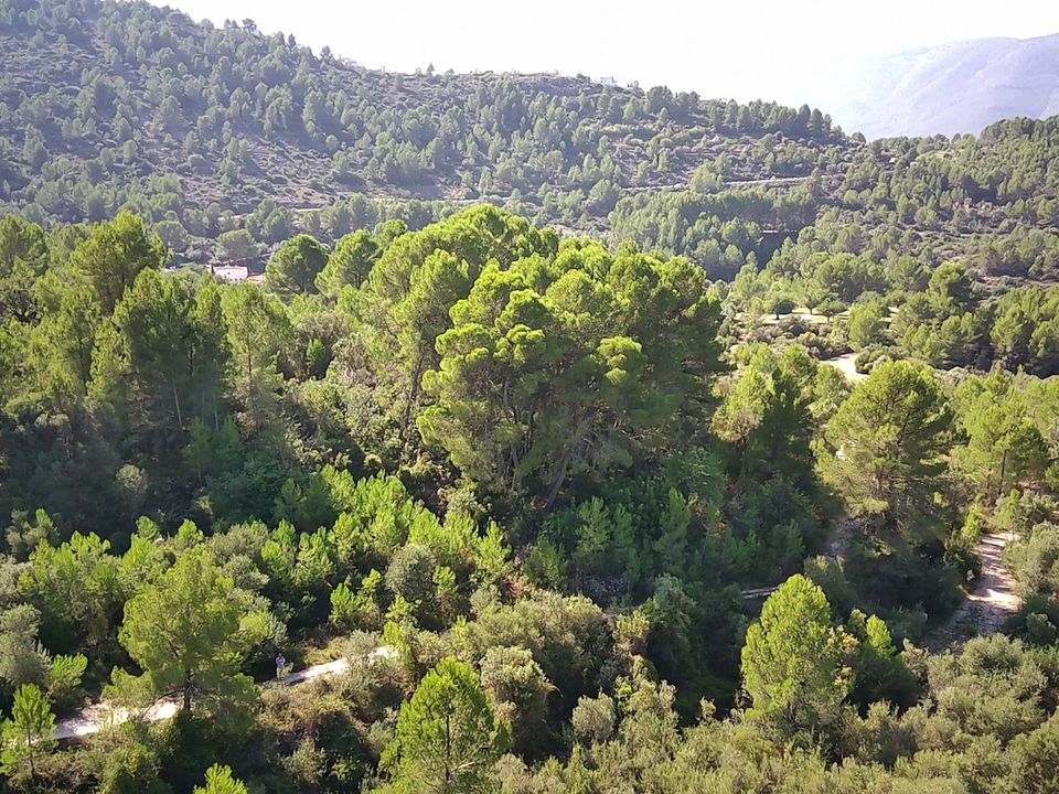 Helårsgrund i Orba, Alicante - foto 3