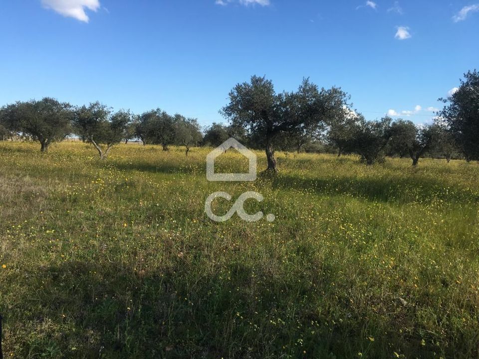 Terreno en Amareleja, Beja - foto 3