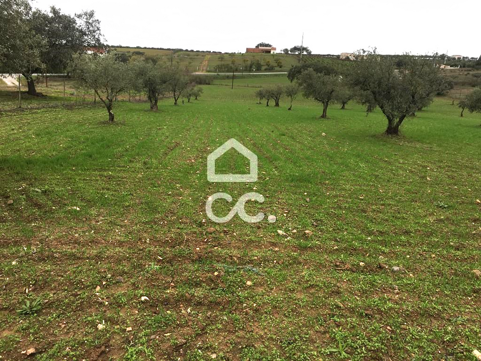 Terreno en Amareleja, Beja - foto 1