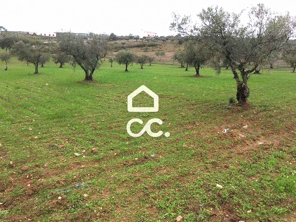 Terreno en Amareleja, Beja - foto 2