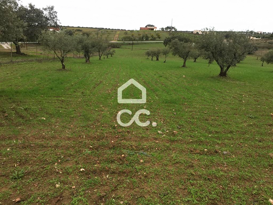 Terreno en Amareleja, Beja - foto 5