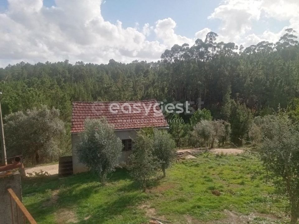Farm i Amieira, Castelo Branco - foto 5
