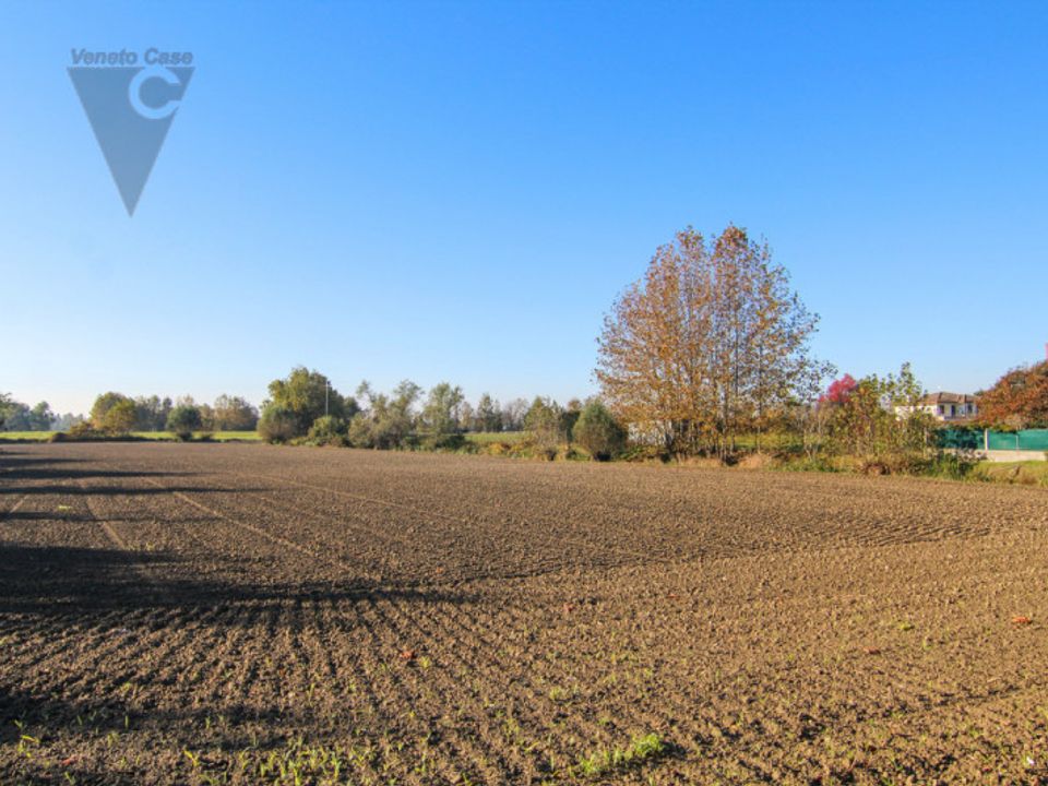 Maison de campagne - Codevigo, Padua - photo 5