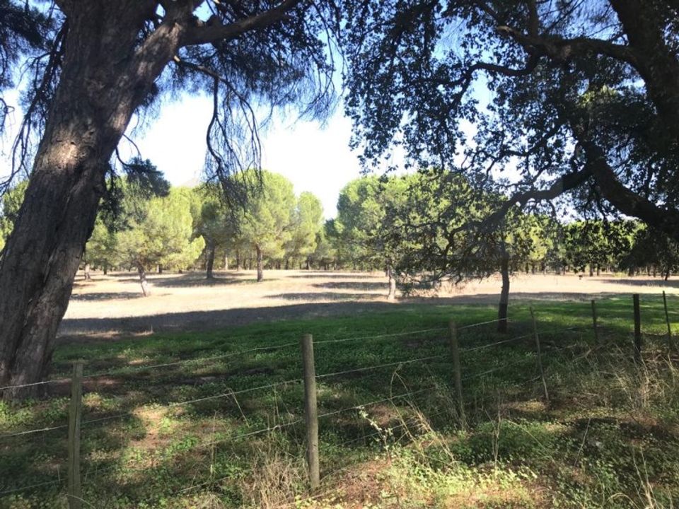 Landejendom i Ermidas do Sado, Setubal - foto 1