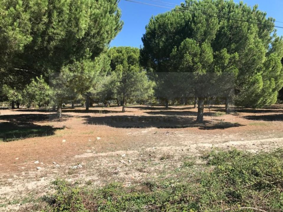 Landejendom i Ermidas do Sado, Setubal - foto 2