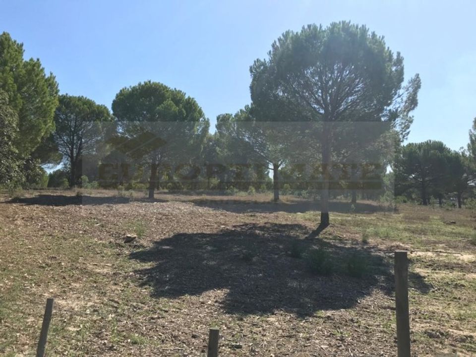Landejendom i Ermidas do Sado, Setubal - foto 3