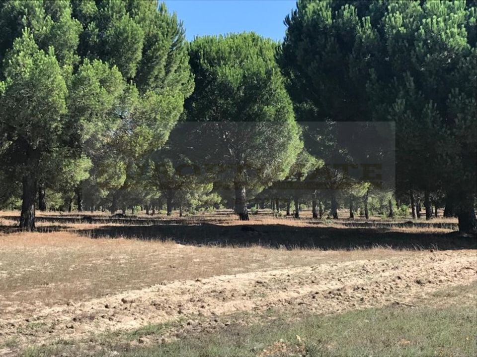 Landejendom i Ermidas do Sado, Setubal - foto 4