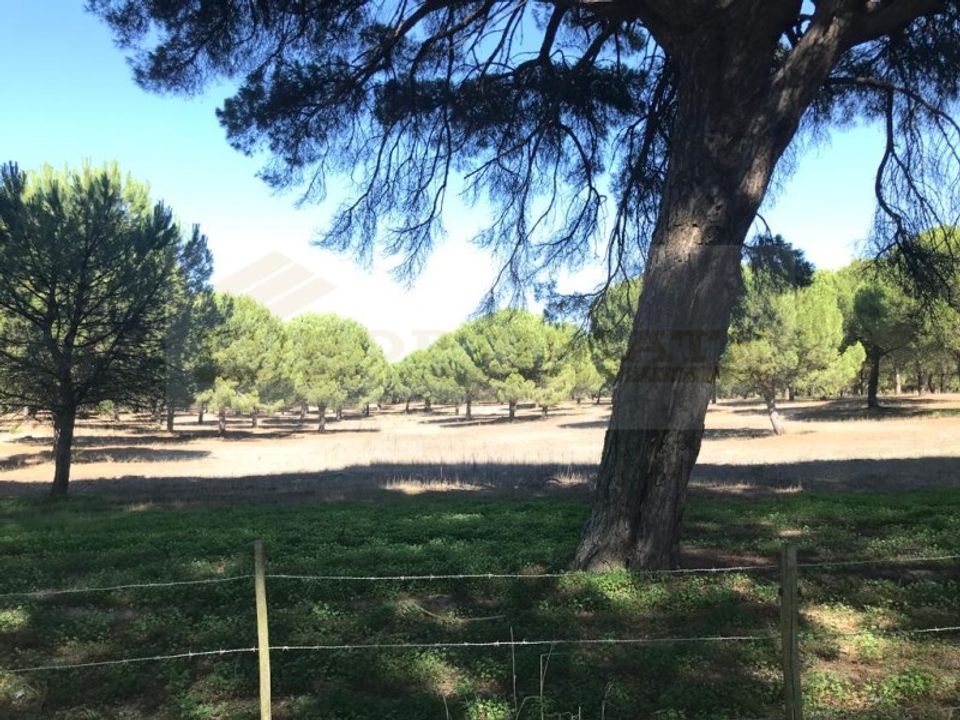 Landejendom i Ermidas do Sado, Setubal - foto 5