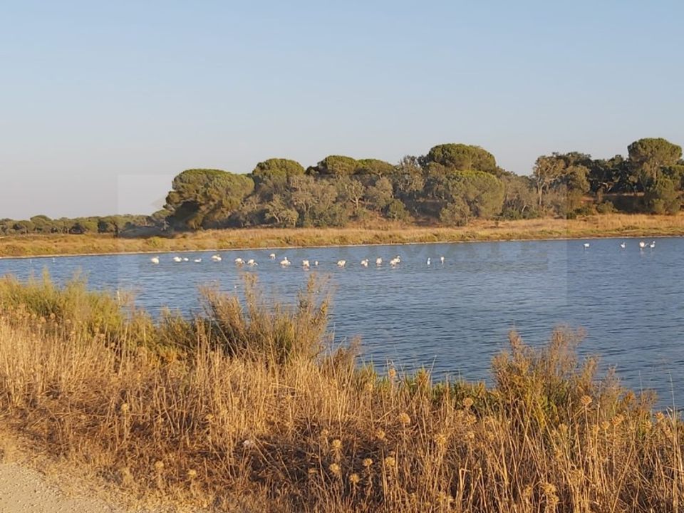 Landejendom i Ermidas do Sado, Setubal - foto 1