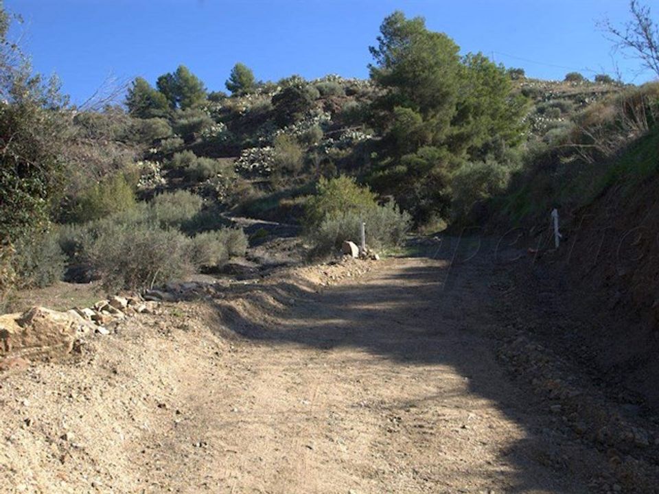Finca i Torrox, Malaga - foto 3