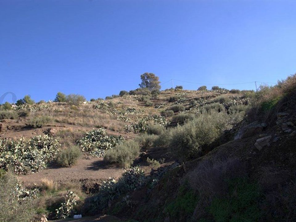 Finca i Torrox, Malaga - foto 4
