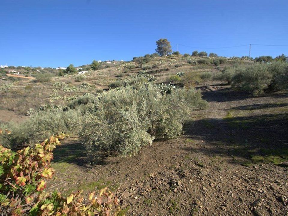 Finca i Torrox, Malaga - foto 5