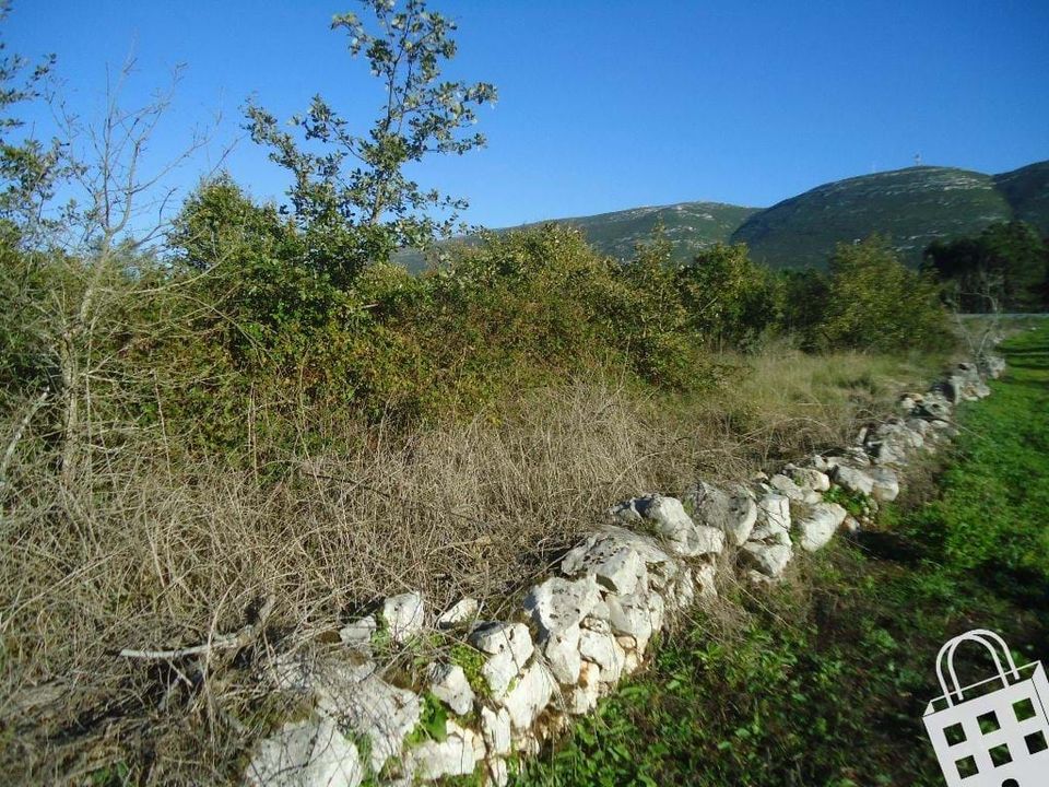 Helårsgrund i Alcobaca, Leiria - foto 1
