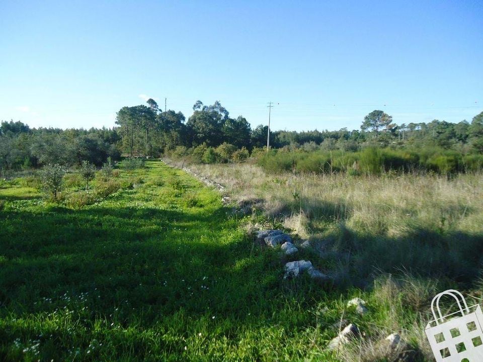 Helårsgrund i Alcobaca, Leiria - foto 2