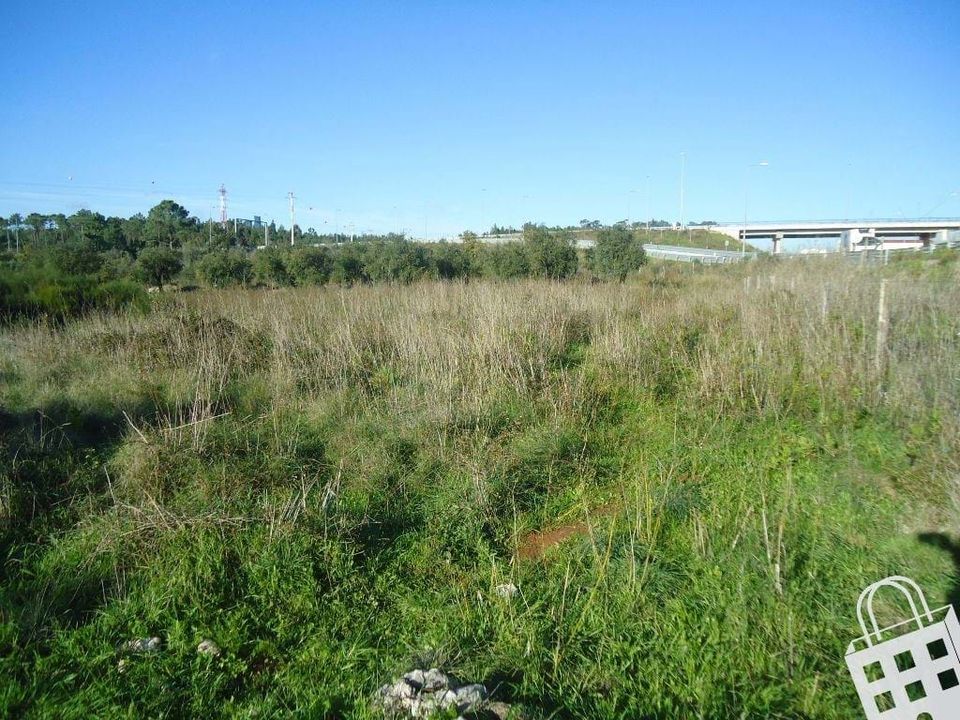 Helårsgrund i Alcobaca, Leiria - foto 5