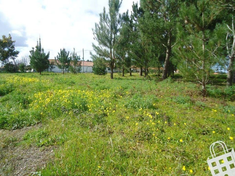 Helårsgrund i Aljubarrota, Leiria - foto 1