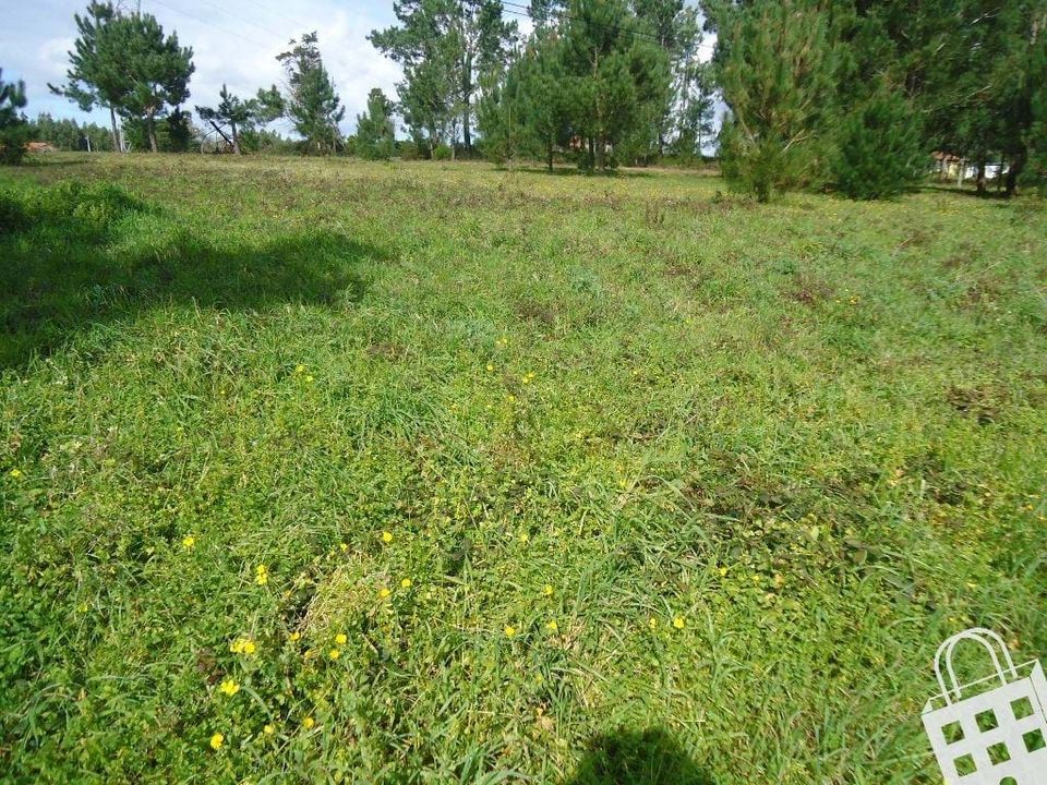 Helårsgrund i Aljubarrota, Leiria - foto 4