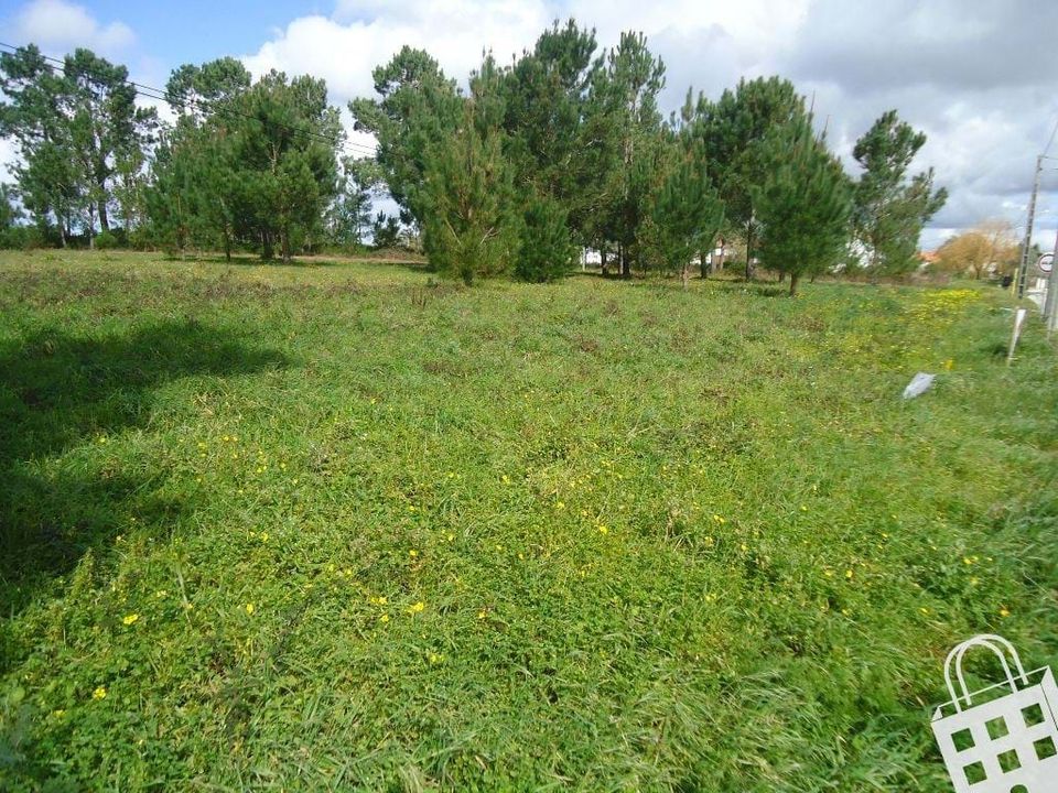 Helårsgrund i Aljubarrota, Leiria - foto 5
