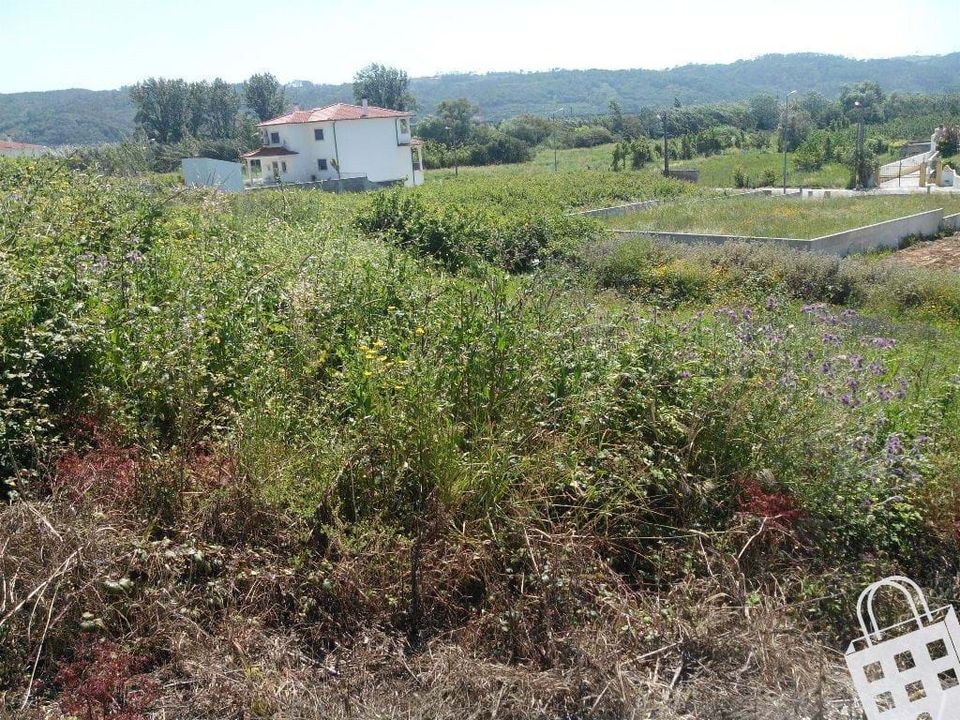 Helårsgrund i Alcobaca, Leiria - foto 1