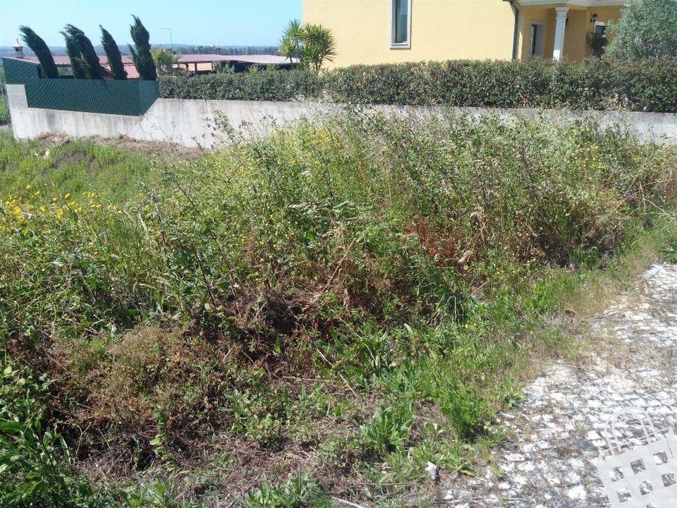 Helårsgrund i Alcobaca, Leiria - foto 2