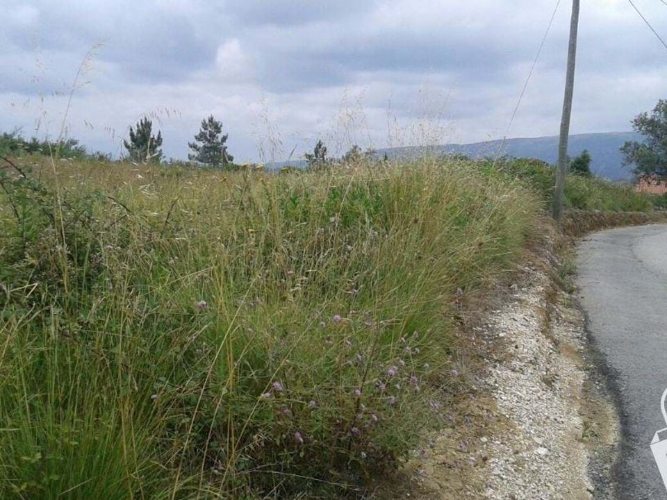 Helårsgrund i Alcobaca, Leiria - foto 3