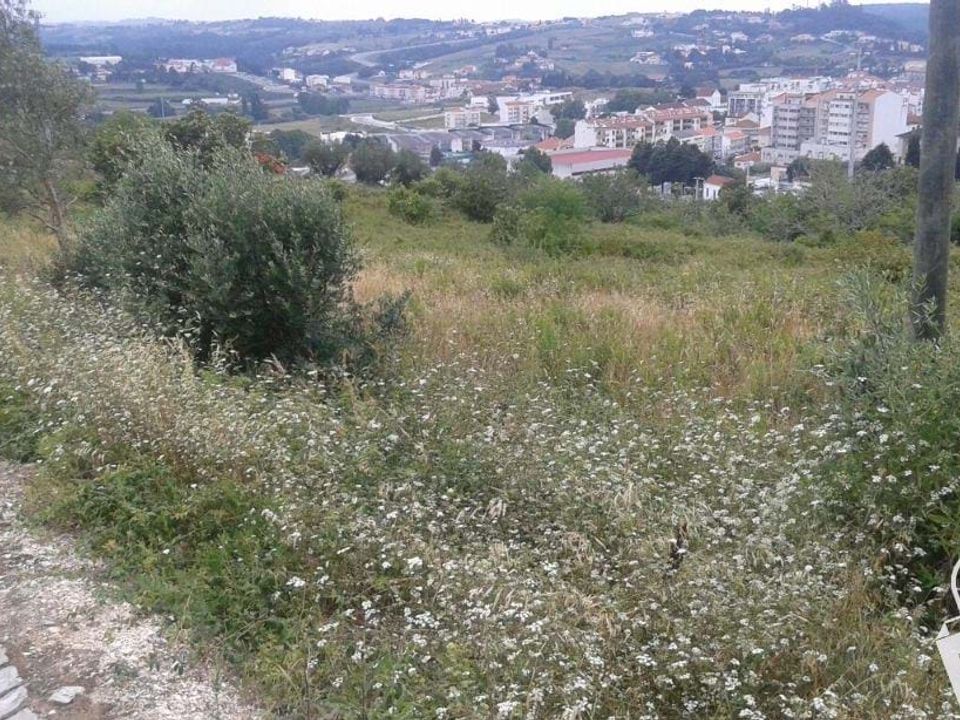 Helårsgrund i Alcobaca, Leiria - foto 4