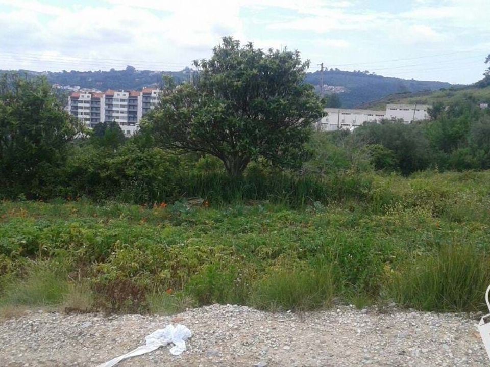 Helårsgrund i Alcobaca, Leiria - foto 5