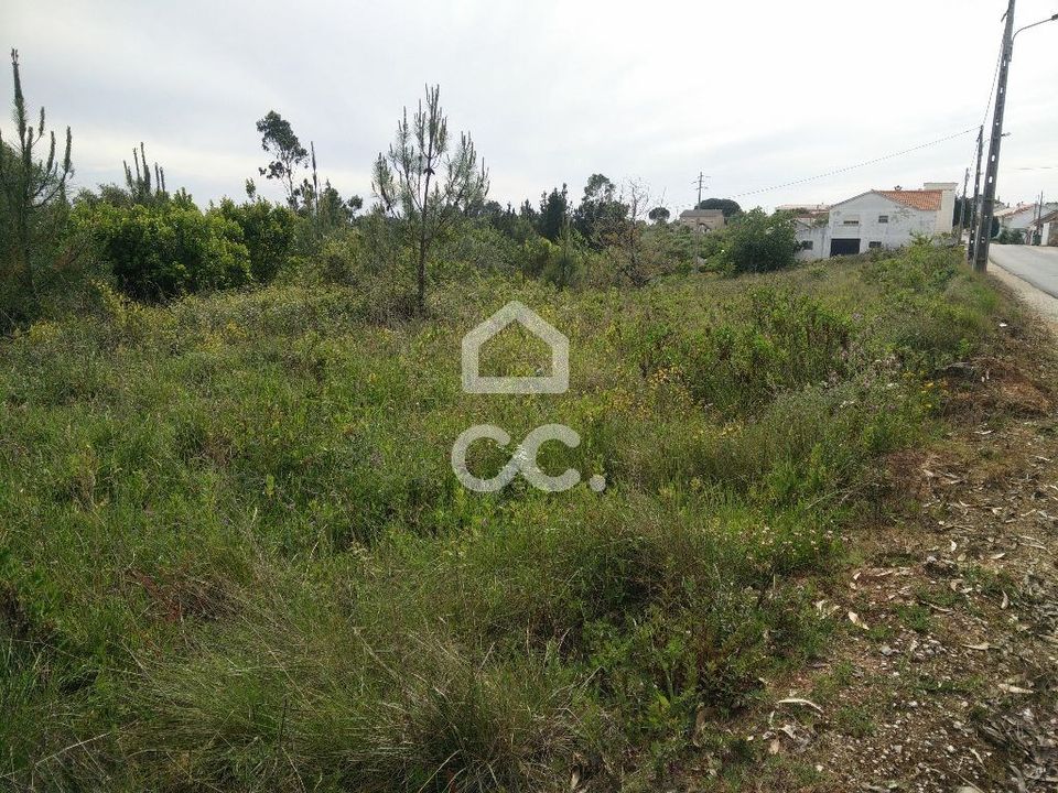Helårsgrund i Aljubarrota, Leiria - foto 2