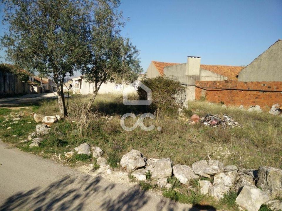 Tomt i Aljubarrota, Leiria - bilde 1