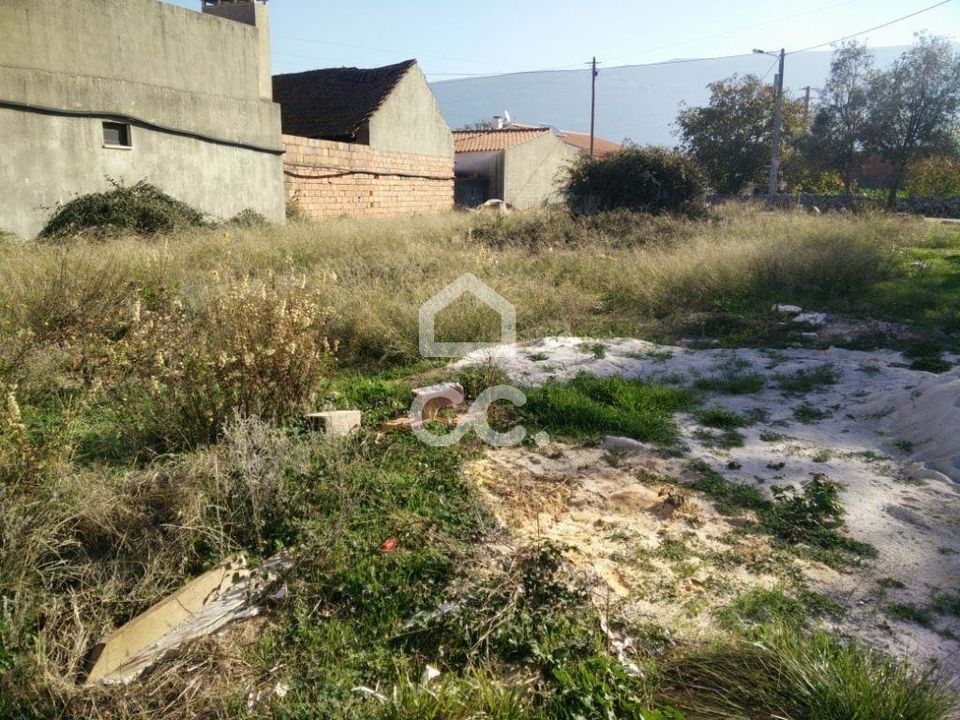 Tomt i Aljubarrota, Leiria - bilde 4