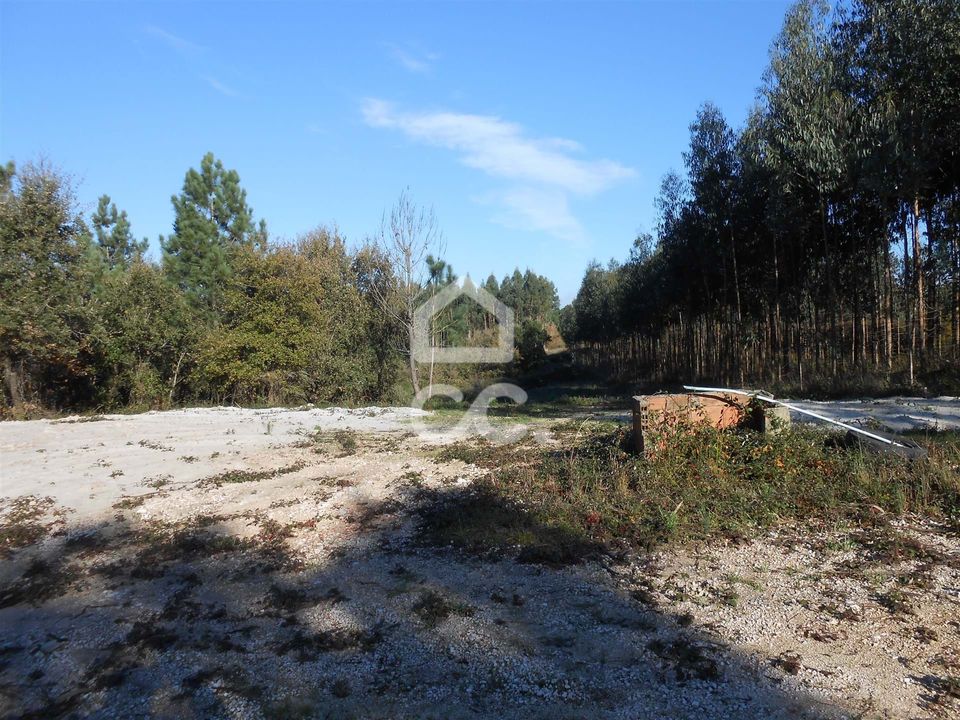 Helårsgrund i Juncal, Leiria - foto 3
