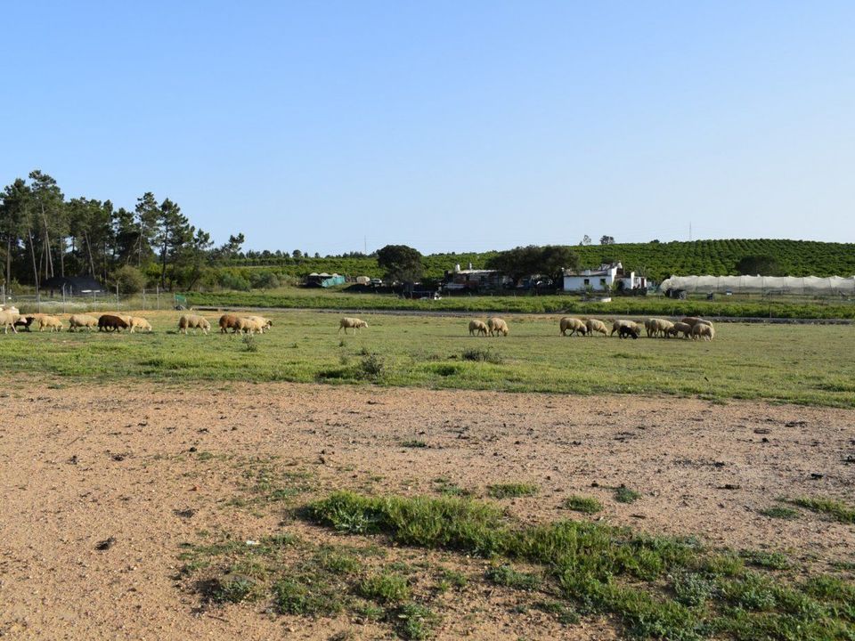 Masia a Villablanca, Huelva - foto 2