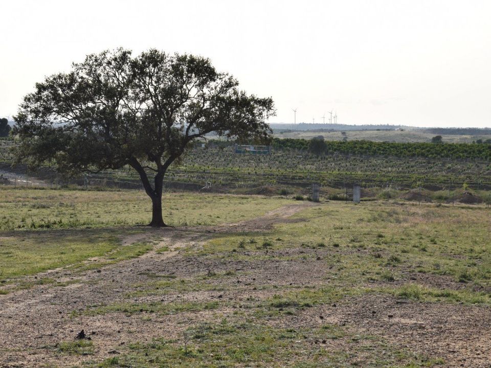 Masia a Villablanca, Huelva - foto 5