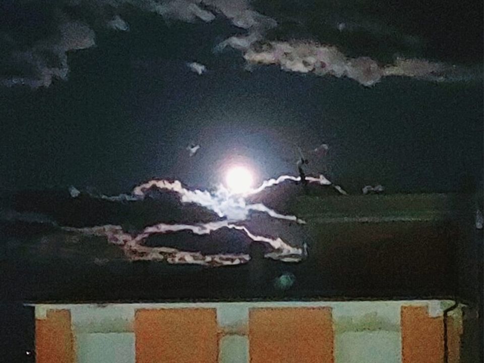 Lejlighed i Porto Sant'Elpidio, Fermo - foto 5