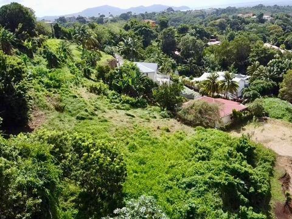 Helårsgrund i Schoelcher, Martinique - foto 1