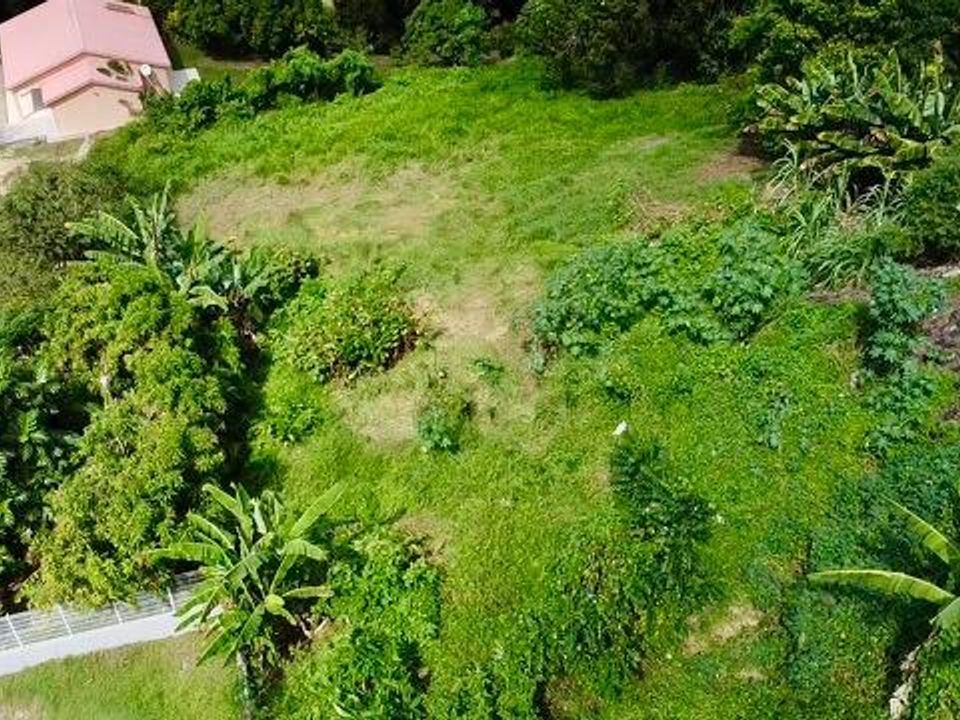 Helårsgrund i Schoelcher, Martinique - foto 3