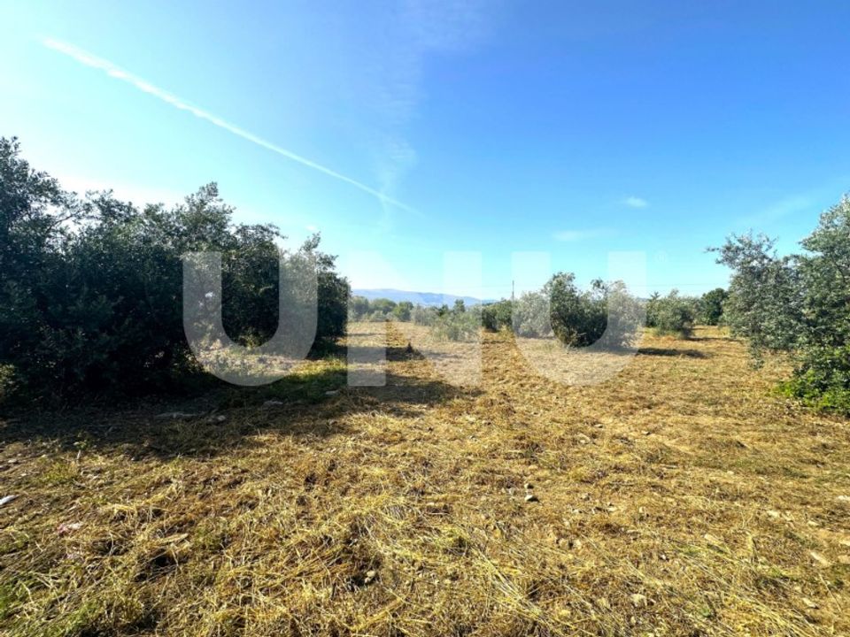 Helårsgrund i Fundao, Castelo Branco - foto 2