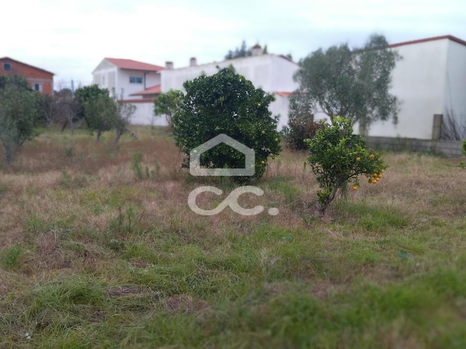 Helårsgrund i Marinha Grande, Leiria - foto 3