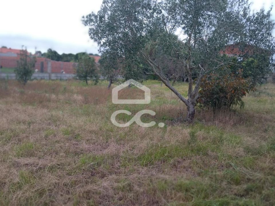 Helårsgrund i Marinha Grande, Leiria - foto 2