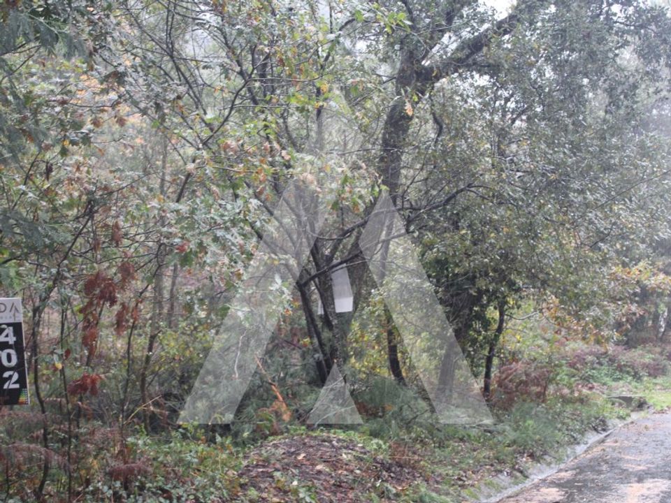 Helårsgrund i Sever do Vouga, Aveiro - foto 4