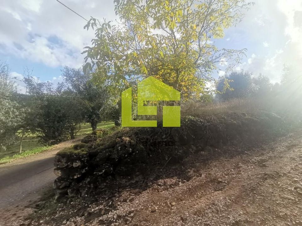 Helårsgrund i Penela, Coimbra - foto 5